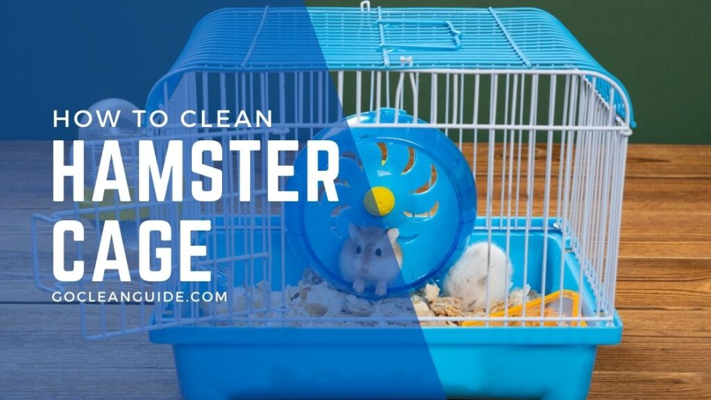 How to Clean a Hamster Cage 10 Easy Steps