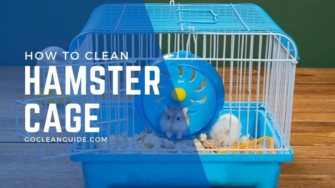 How to Clean a Hamster Cage 10 Easy Steps