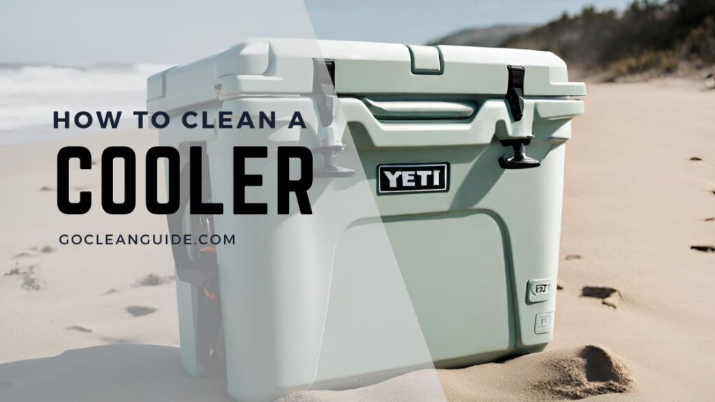 How to Clean a Cooler In 6 Easy Steps